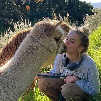 Alpaca Walking Adventure in Scenic Carmel Valley