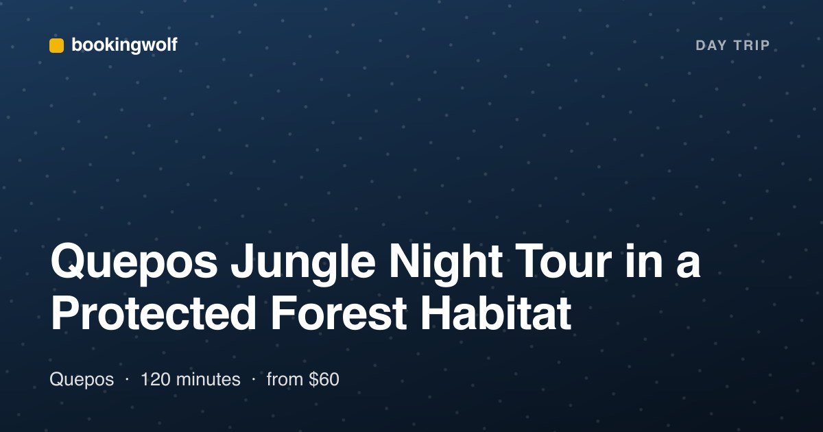 Quepos Jungle Night Tour in a Protected Forest Habitat
