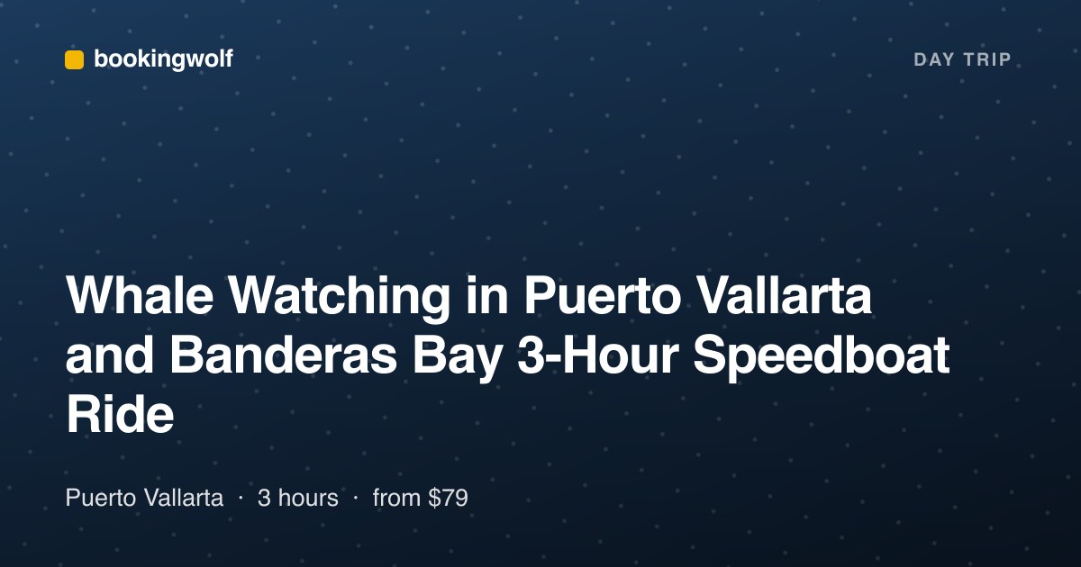 Whale Watching in Puerto Vallarta and Banderas Bay 3-Hour Speedboat Ride