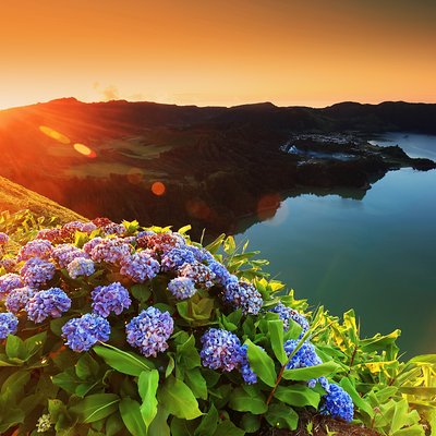 INTO THE WILD AZORES TOURS
