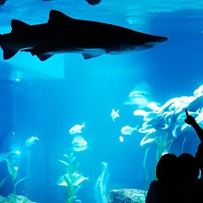 South Korea a Sea Life Busan