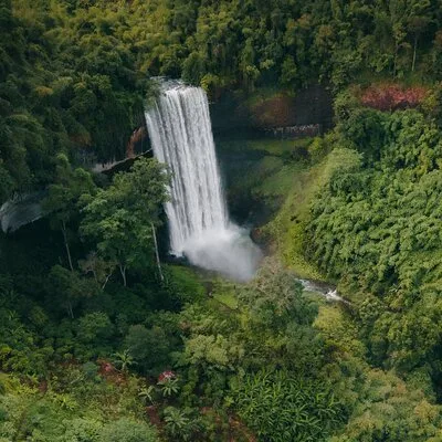 Watphou Travels