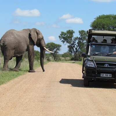 Balanta Imagine Safaris