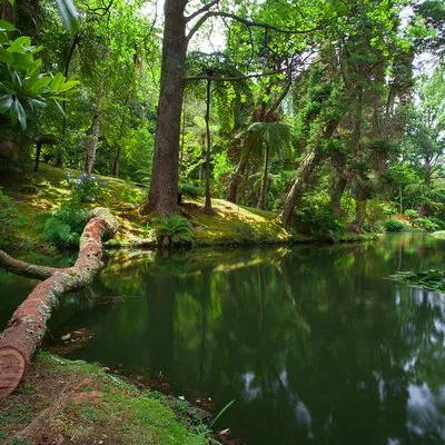 INTO THE WILD AZORES TOURS