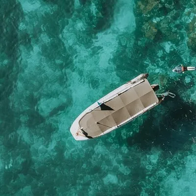 Coromandel Ocean Adventures