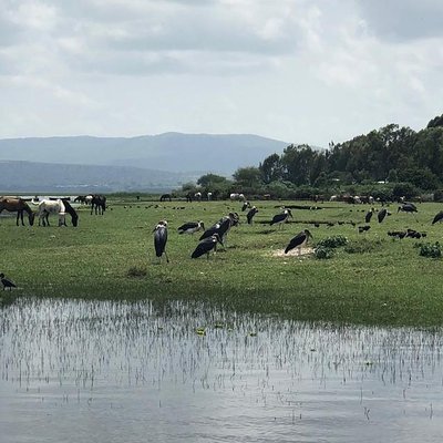 Aspire Ethiopia Tours