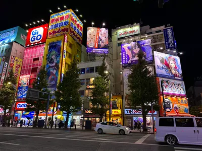 Tokyo 70-Minute Go Kart Tour with Guide and Costume: Asakusa Senso-ji, Tokyo Skytree, Akihabara (IDP Required)
