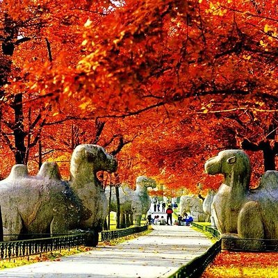 SUNNY PRIVATE TOURS