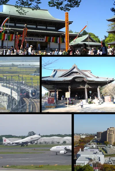 Narita Airport (NRT) Private Transfer to Central Tokyo