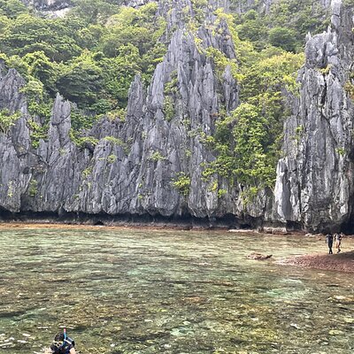 Natural Arts Travel and Tours