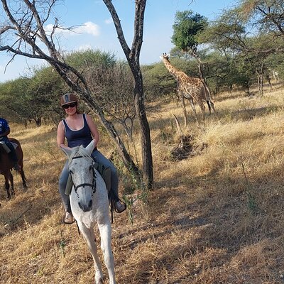 Maun Horse Riding Safari in Private Game Lodge