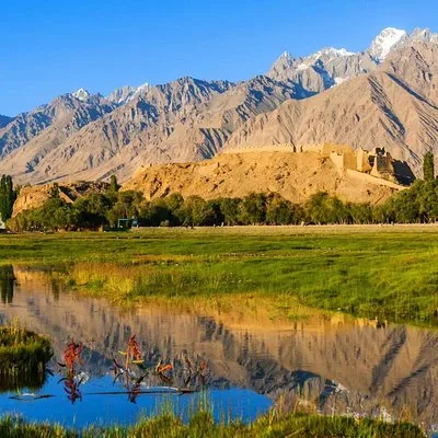 Silk Road Expeditions