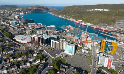 St. John's 2 Hour Award-Winning Whale and Seabird Boat Tour from St. John's