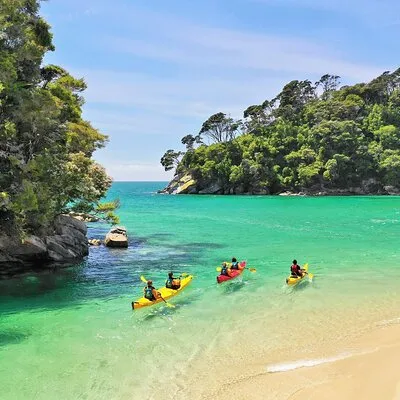 Wilsons Abel Tasman National Park Limited