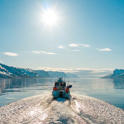 Alta: 2 Hours Guided Adventure Cruise in Alta Fjord
