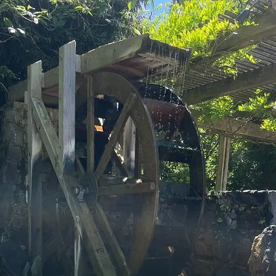 Private Transportation to Butchart Gardens
