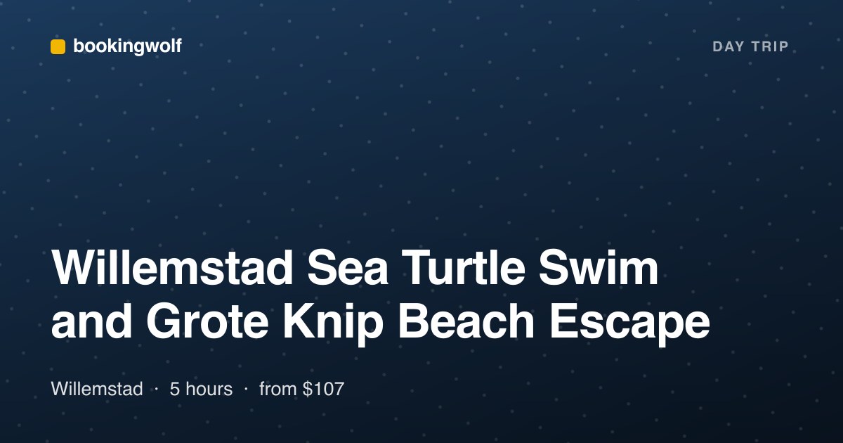 Willemstad Sea Turtle Swim and Grote Knip Beach Escape