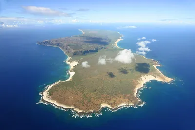 Big Island of Hawaii 4-Hour Deluxe Morning Snorkeling Adventure at Pu’uhonua O Honaunau and Kealakekua Bay