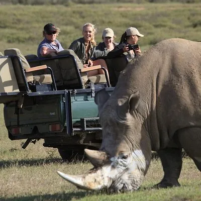 Convoy tours