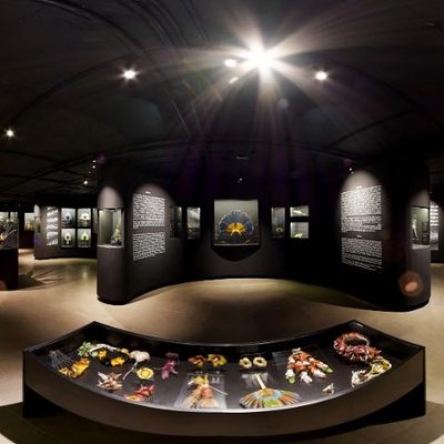 Museu de Arte Indígena de Curitiba