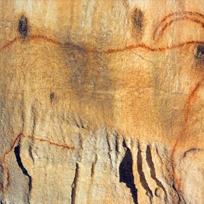 Sarlat : Private Tour to a Prehistoric Cave by Exploreo24