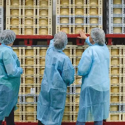 Visit La Antigua Cheese Factory (Cheese Tourism)