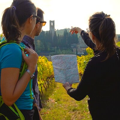 Escursioni e tours in Chianti con degustazione di vini
