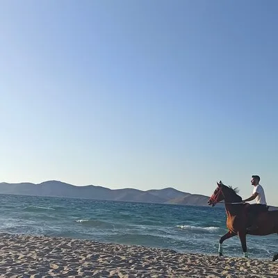 Horse Riding Experience on the Beach with Instructor