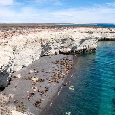 Cruise Shore Sea Lions Experience Punta Loma and city overview