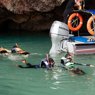 3 Hour Mangrove Tour with Bonus Snorkeling Experience