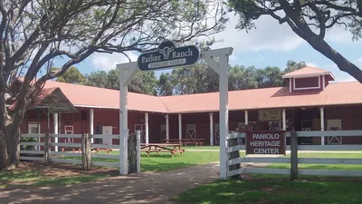 Big Island Waterfalls Day Trip with Swimming and Botanical Garden