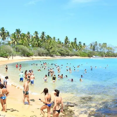 Top Passeios