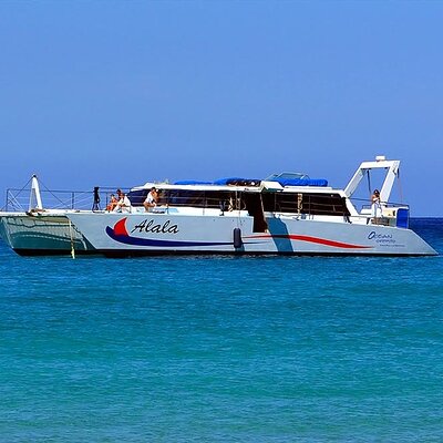 Snorkel Adventure on our Power Catamaran