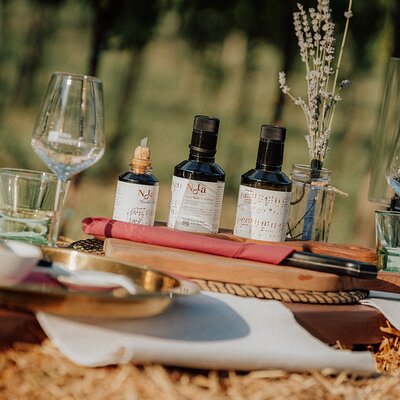 Taste of Istria - wine, brandy, vinegar, local food