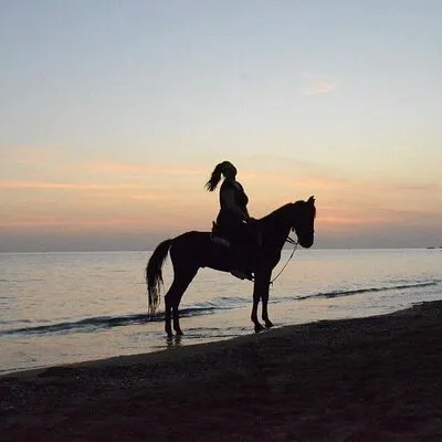 Horse Riding in Side - Horse Tour in Manavgat Forest and Beach