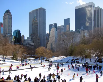 Central Park Horse Carriage Ride in New York City - Private, Fully Guided, Since 1970™