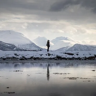 Arctic Photo Guide