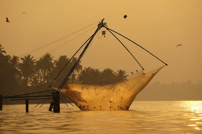 Kochi Tuk-Tuk Private Tours with Pickup from Cruise Ships