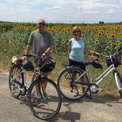 Vineyard et Vélo