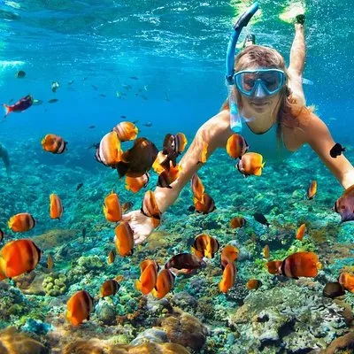 Phi Phi Half Day Tour Speed Boat Tour