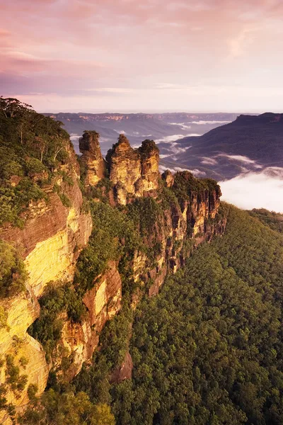 Blue Mountains Hop On Hop Off Bus Tour