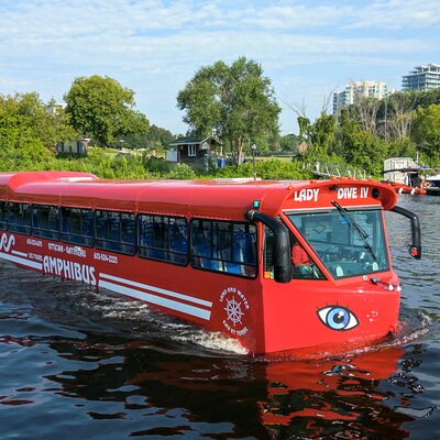 Lady Dive Tours