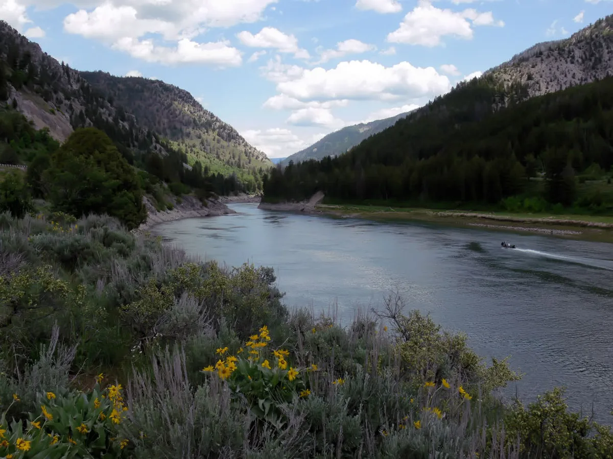 Tetons and Snake River Scenic Float Trip in Jackson Hole