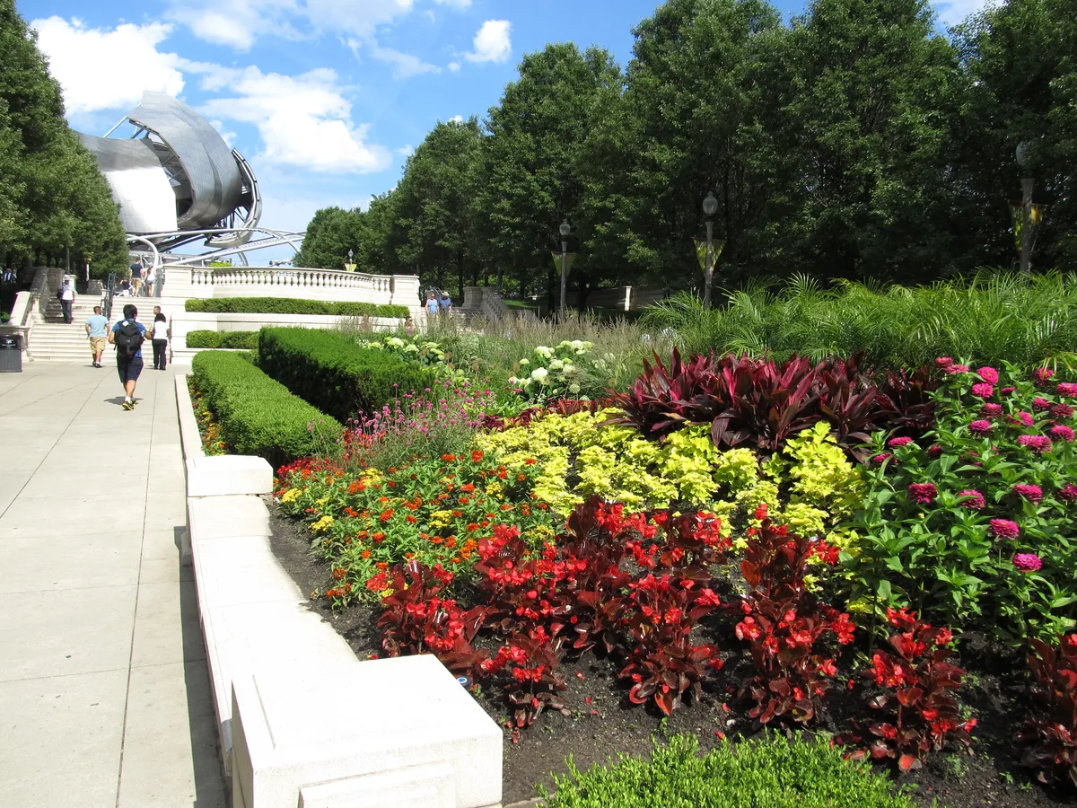 Chicago 3-Hour Bike Tour of Downtown Attractions Including Millennium Park, Museum Campus, Riverwalk & Lakefront