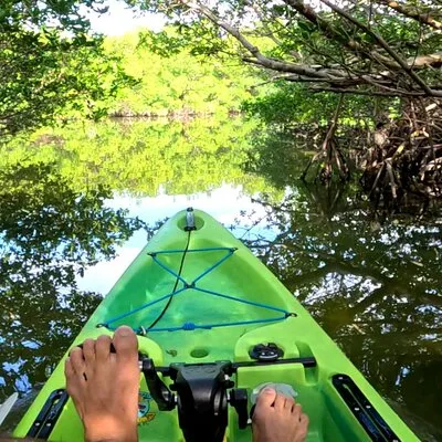 Pedal Kayak Mangrove Tunnel Tour in Bradenton