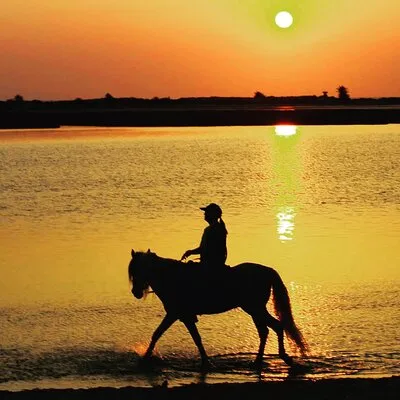 Ranch Adada Djerba