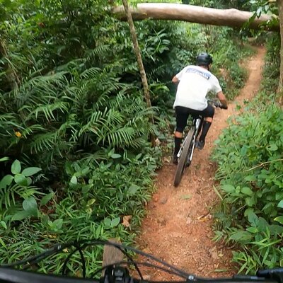 Biked & Beach - Palm Cove
