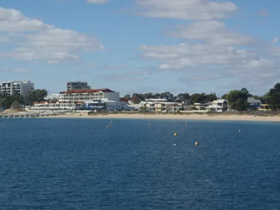 Swim with Wild Dolphins Day Tour in Perth with Lunch and Snorkeling