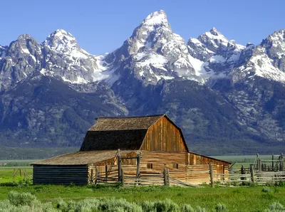 Yellowstone National Park Day Trip from Jackson Hole with Grand Teton Drive
