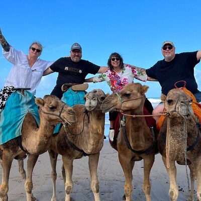Andaloussi Tangier Tours